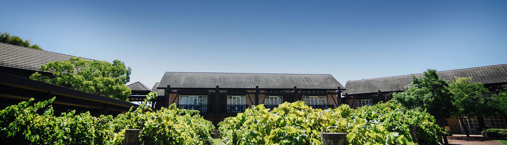 Aussie BBQ NYE Family Party