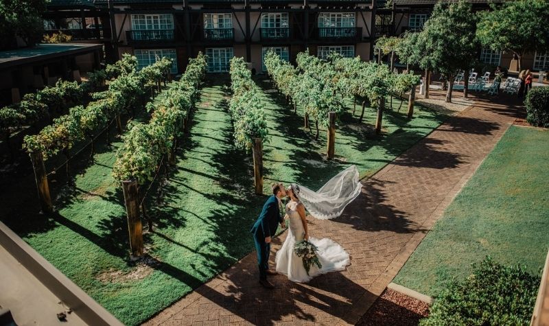 Weddings at the Vines