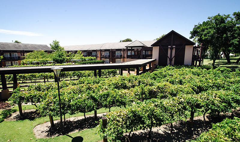 The Vines Resort
